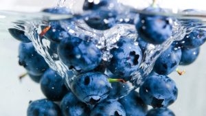 Blueberry segar kaya antioksidan