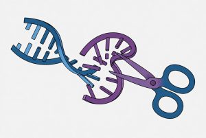 iRNA: Small Interfering RNA yang Membungkam Gen INHBE