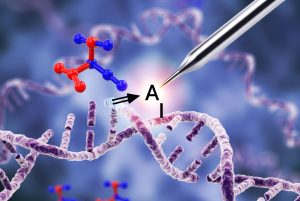 ADAR: Enzim Alami Pengedit RNA dalam Tubuh