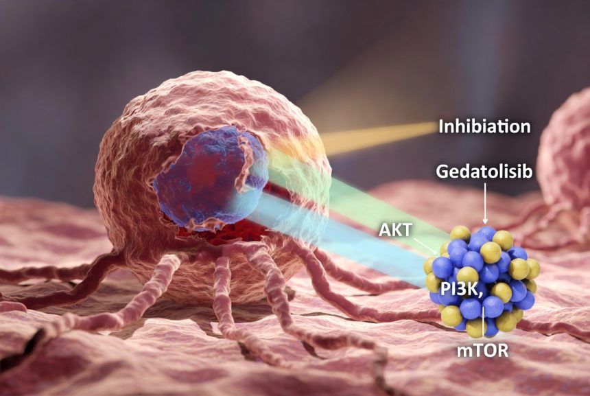 Gedatolisib: Terapi Target Inovatif untuk Kanker Payudara