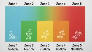 Tabel Zona Latihan Detak Jantung