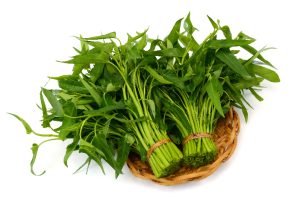 kangkung