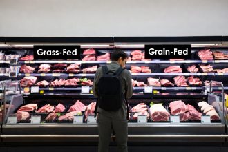 grass-fed vs grain-fed