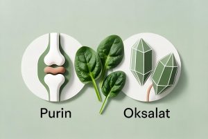 Infografis kandungan purin dan oksalat dalam bayam untuk penderita asam urat dan batu ginjal